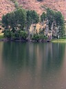 Aspen Grove Reflection