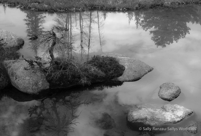 SallyRanzau-Alpine Pond